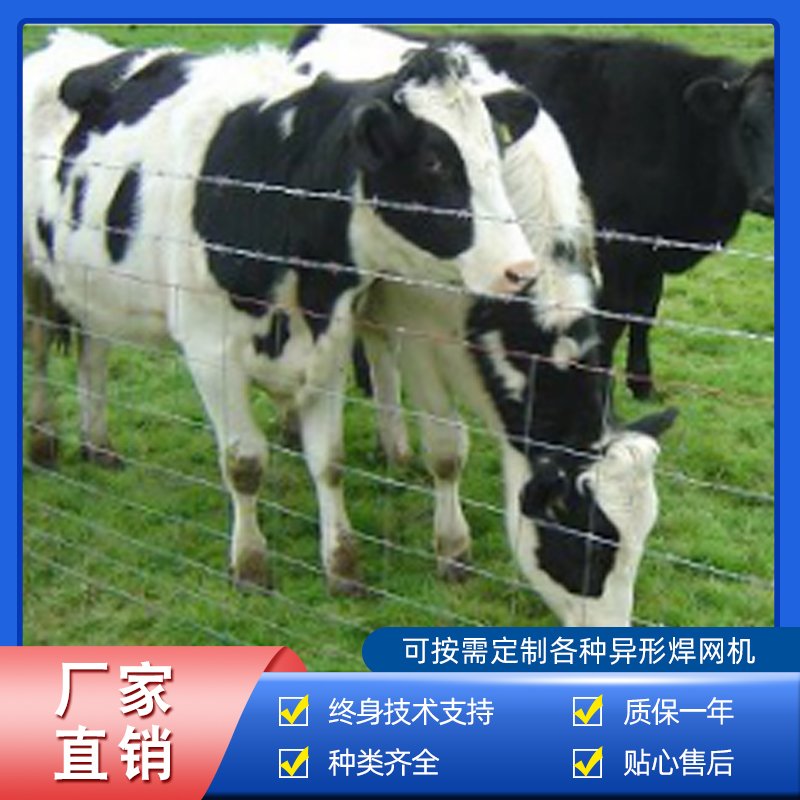 草原網、牛欄網